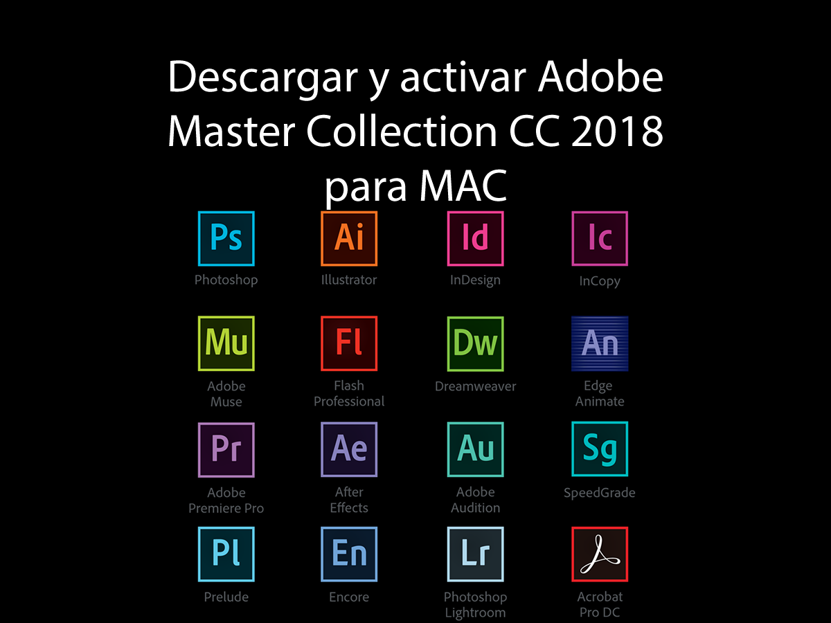 Download adobe master collection